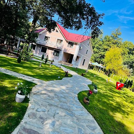 Pensiunea Pink House Runcu Hotel Runcu  Buitenkant foto