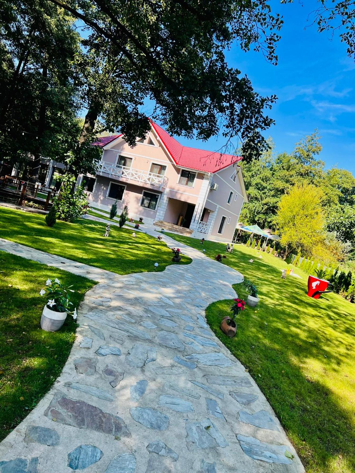 Pensiunea Pink House Runcu Hotel Runcu  Buitenkant foto